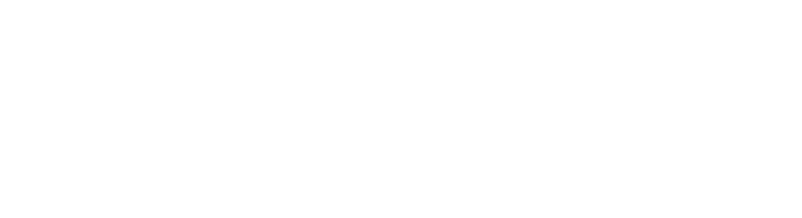 Elite Medical Experts