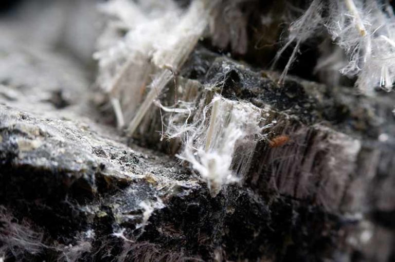 asbestos fibers under a microscope